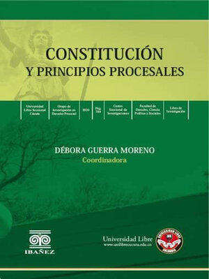 cover image of Constitución y principios procesales